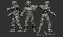 Load image into Gallery viewer, Borg Bundle (Legion) (SciFi) (Raven X)