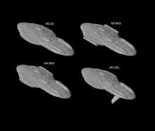 Load image into Gallery viewer, MC40 - 4 variants pack (Onil) (Fleet)