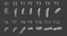 Load image into Gallery viewer, Eastern Trolls 4 Pack (Kolbehs) (SciFi) (DandD)