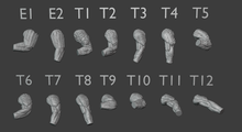 Load image into Gallery viewer, Eastern Trolls 4 Pack (Kolbehs) (SciFi) (DandD)