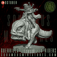 Load image into Gallery viewer, Human Female Prex Rider and Freedom Fighter (Legion) (Sci-Fi) (DSM)