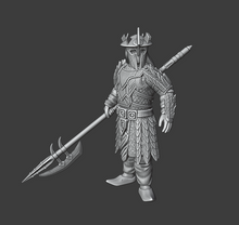 Load image into Gallery viewer, Eastern Pikemen Drake Chestplate (Kolbehs) (SciFi) (DandD)
