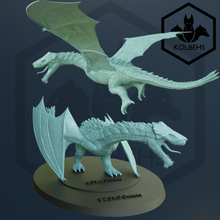 Load image into Gallery viewer, Drake Flying (Kolbehs) (SciFi) (DandD)