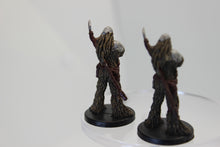 Load image into Gallery viewer, Wookie Troopers (Collectible) (SciFi)
