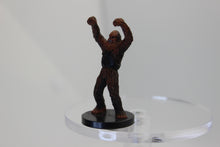 Load image into Gallery viewer, Wookie Soldier (Collectible) (SciFi)
