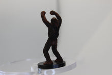 Load image into Gallery viewer, Wookie Soldier (Collectible) (SciFi)
